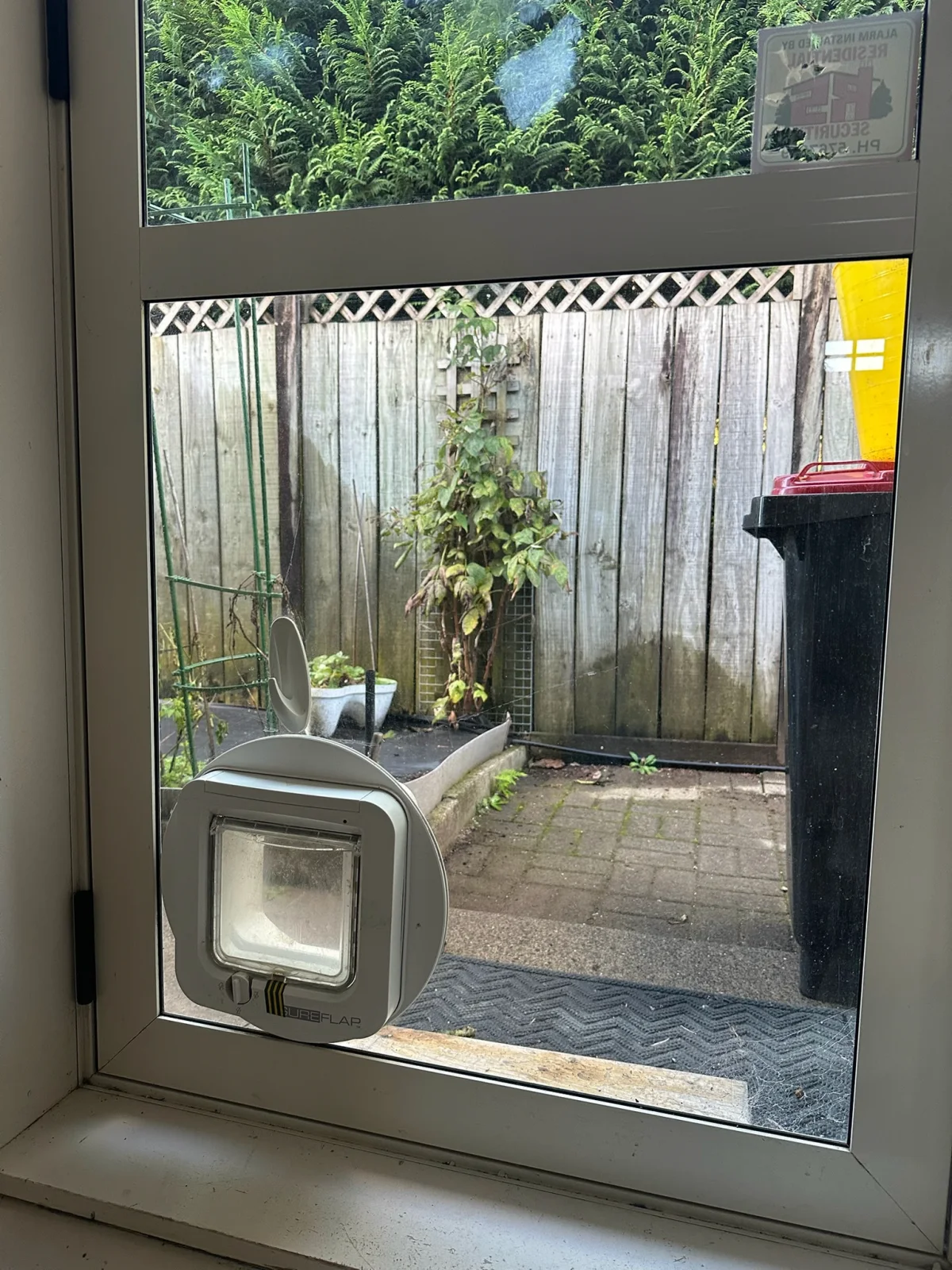 SureFlap-branded pet door fitted into a glass panel from the First Glass job-photo archive