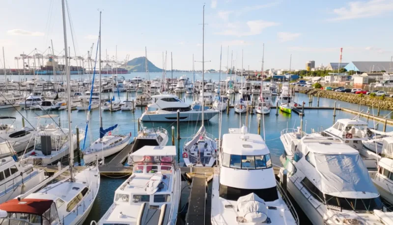 Boats moored at a Tauranga marina